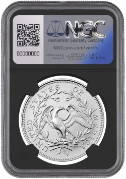 2024 FLOWING HAIR SILVER MS70 ADV REL MOY/RYDER - Image 2